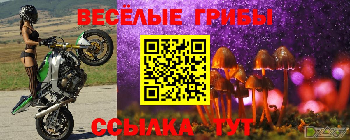 Галлюциногенные грибы MAGIC MUSHROOMS  как найти закладки  Ковров  Вход с VPN 