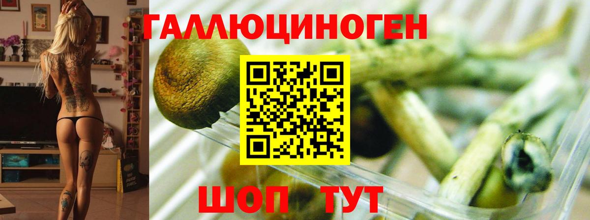 Галлюциногенные грибы ЛСД Ковров